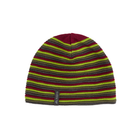 RA Striped Beanie Unisex | granite