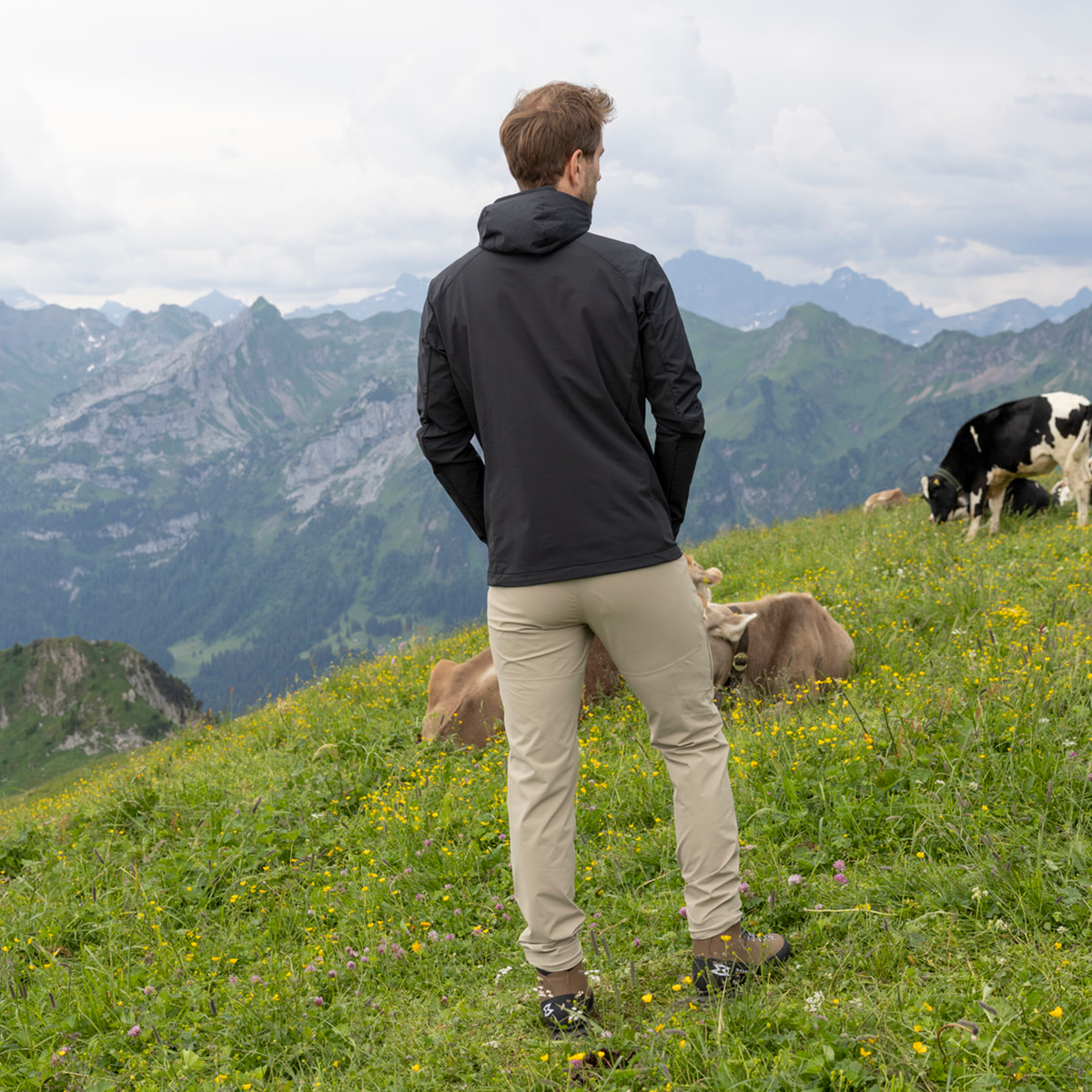 R2 Alpine Softshell Jacket Men | black