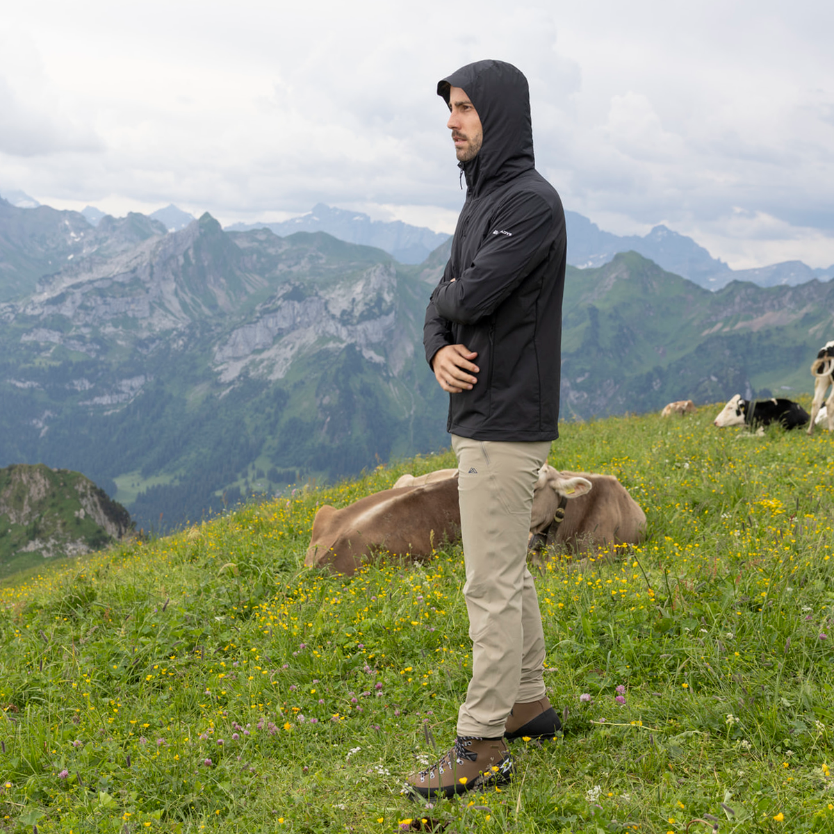 R2 Alpine Softshell Jacket Men | black