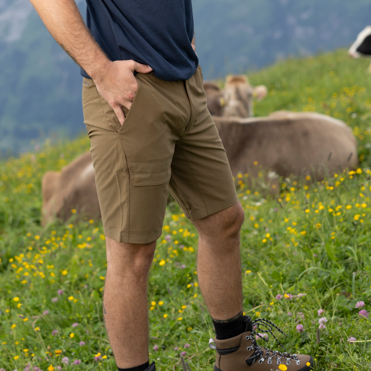 R2 Fusion Shorts Men | clay