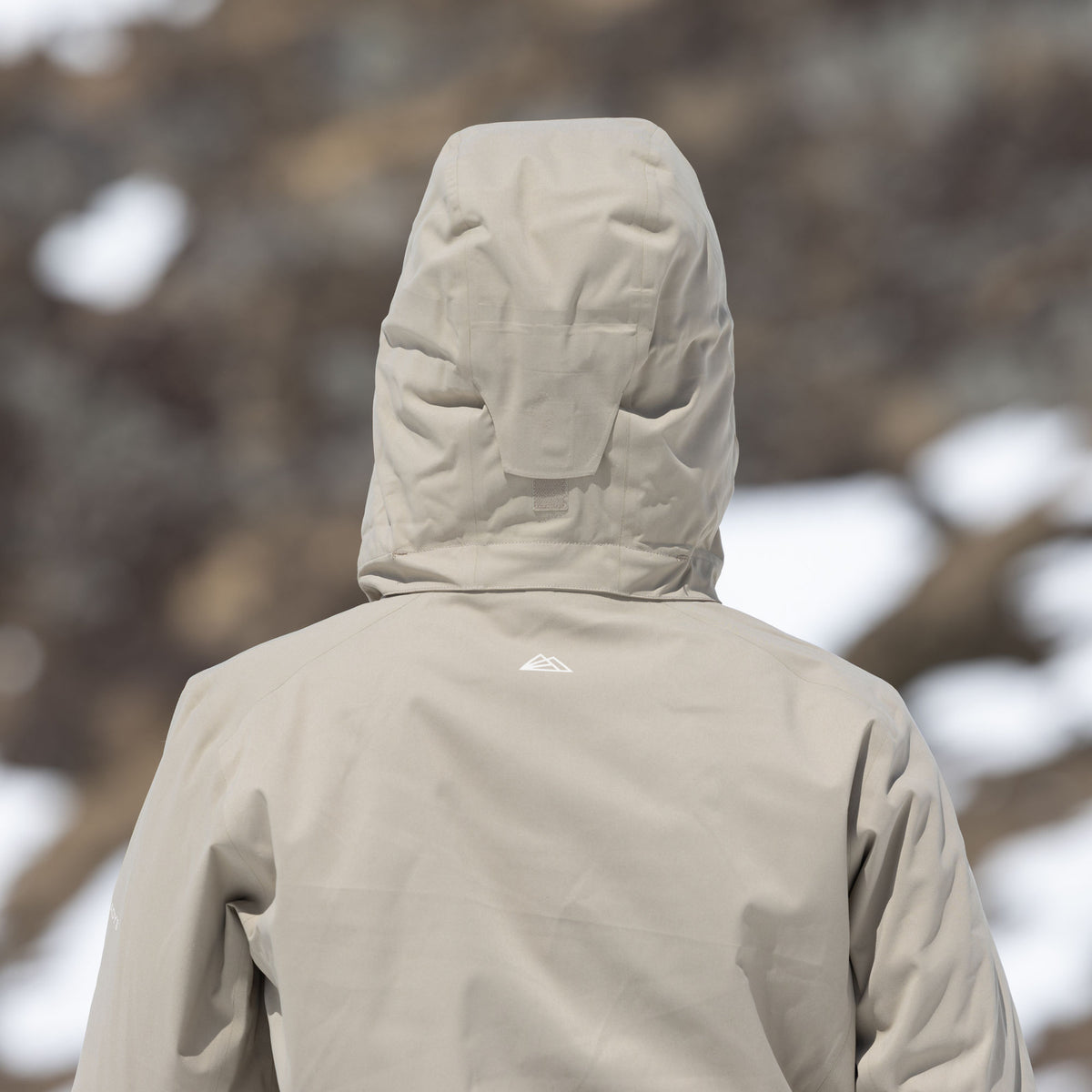 R1 Insulated Tech Jacket Women | cedar