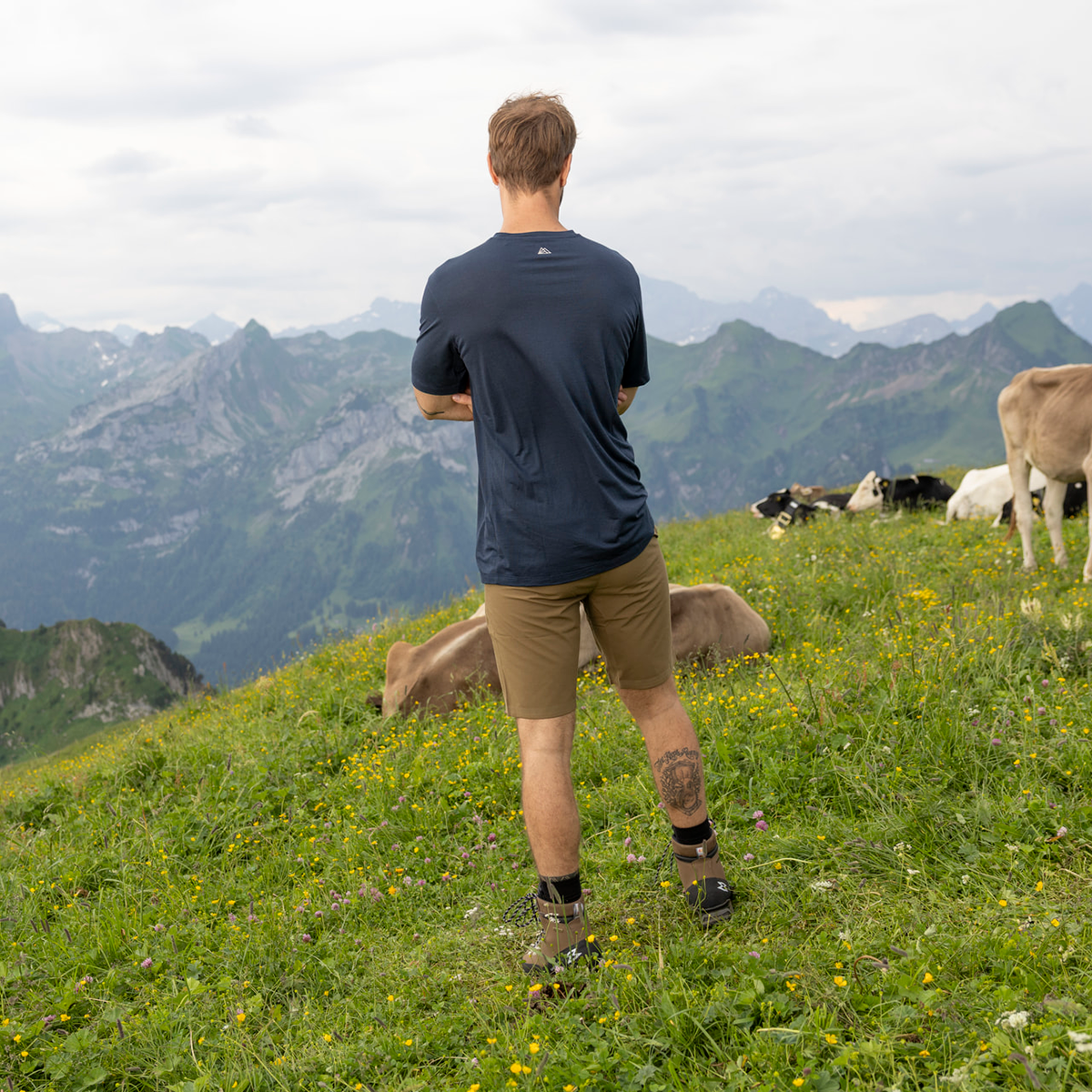 R5 Light Merino Scenic T M Men | navy