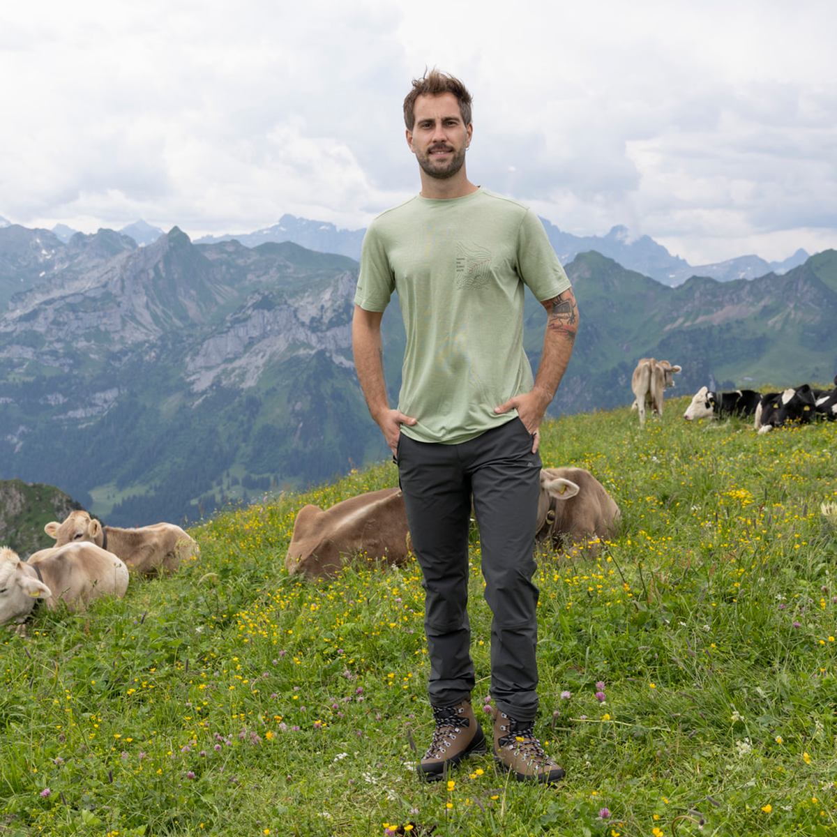 R5 Light Merino Scenic T M Men | Reed