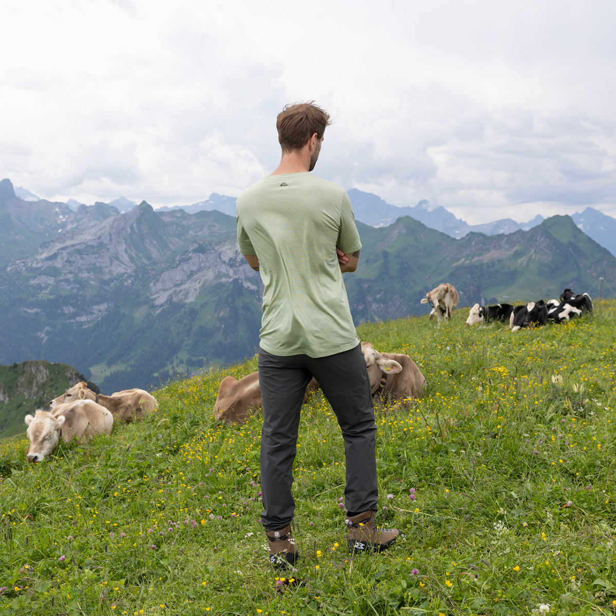 R5 Light Merino Scenic T M Men | Reed