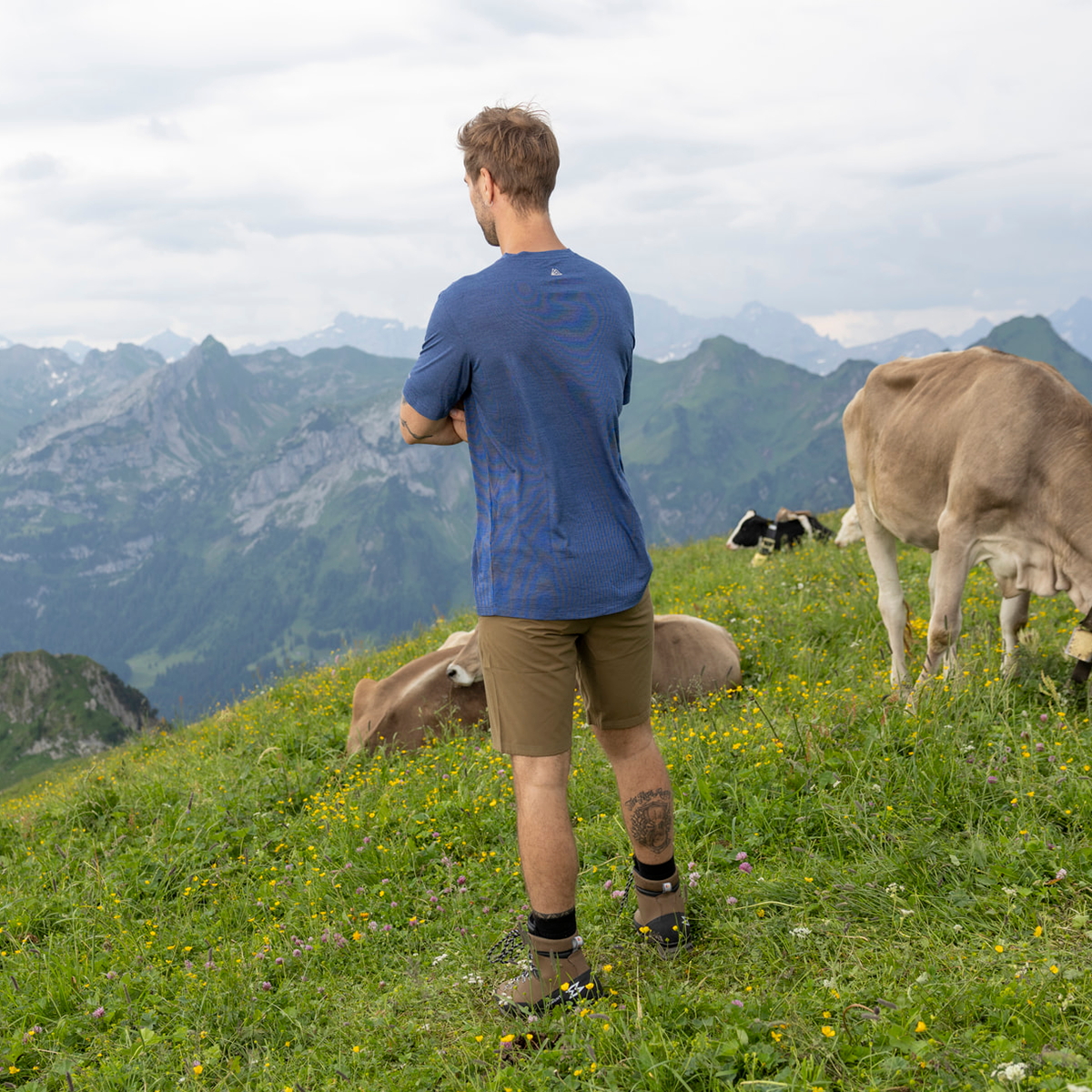 R5 Light Merino Profile T Men | yale blue